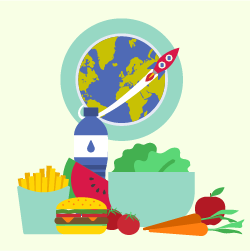 Vignette des illustrations en flat design pour le parcours sur le sommeil pour Reaching Target.